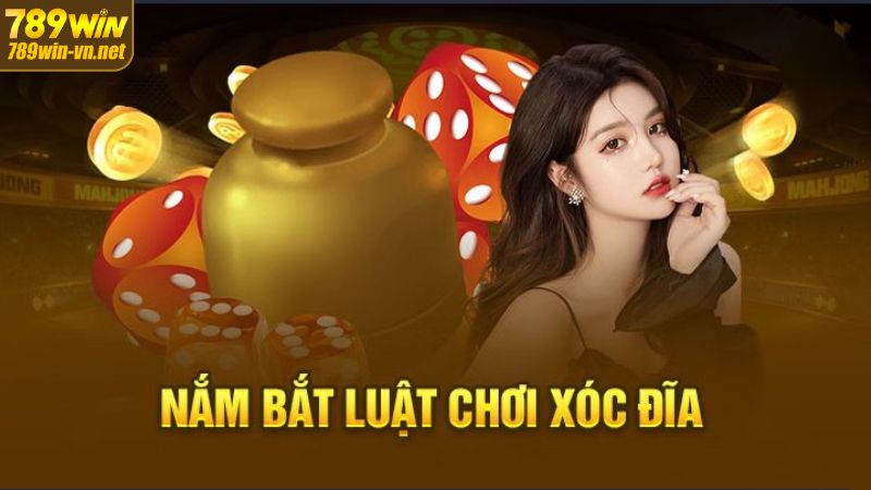 Bỏ Túi Cách Chơi Xóc Đĩa Bách Trận Bách Thắng Tại 789WIN 2 Nắm rõ luật chơi xóc đĩa chuẩn nhất