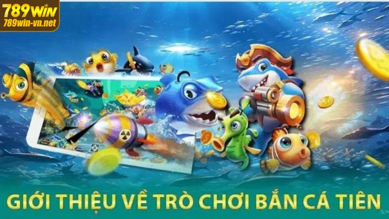 Bắn Cá Tiên - Siêu Phẩm Kiếm Thưởng Cực Đã Tại 789WIN 2 Tóm tắt khái niệm cơ bản về bắn cá tiên