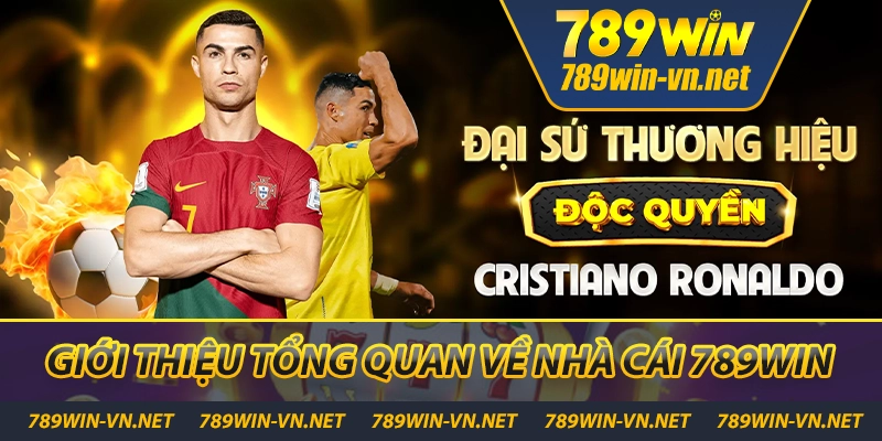 789WIN 🎖️【 789 WIN 】- Trang Chủ Đăng Nhập Mới Tháng 5/2025 26 Tổng quan về nhà cái 789WIN