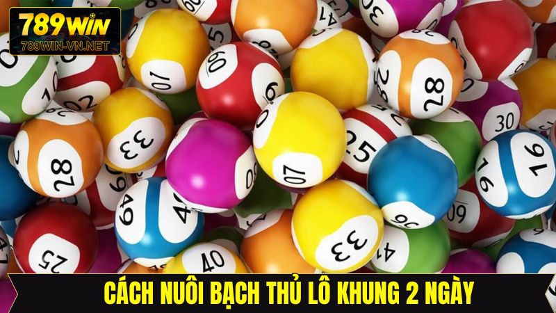 Bạch Thủ Lô Khung 2 Ngày - Bí Quyết An Toàn, Lãi Ổn Định 3 Hướng dẫn cách thức nuôi bạch thủ lô khung 2 ngày