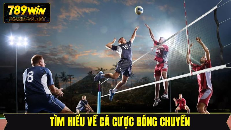 Cá Cược Bóng Chuyền - Cơ Hội Làm Giàu Nhanh Chóng Tại 789Win 2 Cá cược bóng chuyền là gì?