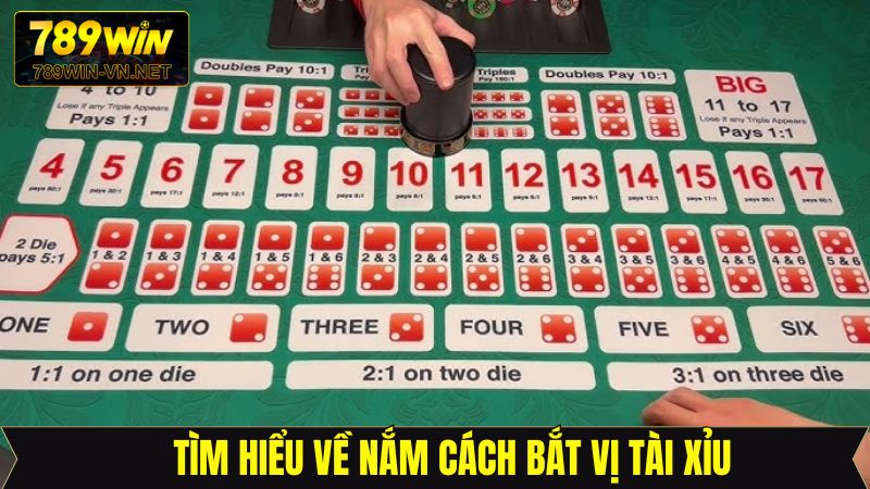 Cách Bắt Vị Tài Xỉu - Tăng Phần Thắng Khi Cá Cược Tại 789Win 2 Đôi nét cơ bản về cách bắt vị Tài Xỉu