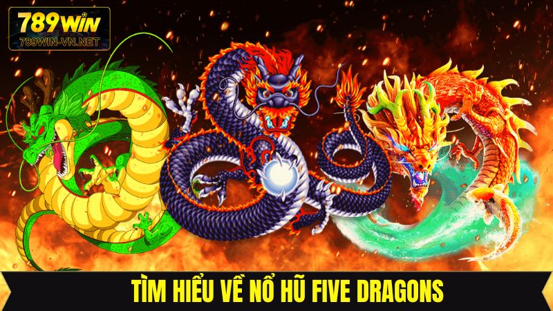 Nổ Hũ Five Dragons - Siêu Phẩm Đổi Thưởng Hấp Dẫn Tại 789Win 2 Khám phá tựa game nổ hũ đình đám nhất