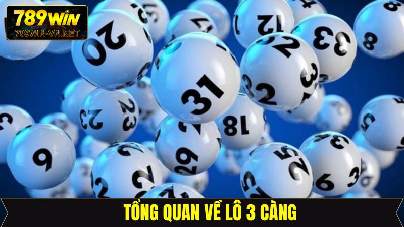 Lô 3 Càng - Chia Sẻ Phương Pháp Chốt Số Siêu Chuẩn Xác 2 Tổng quan về hình thức lô 3 càng